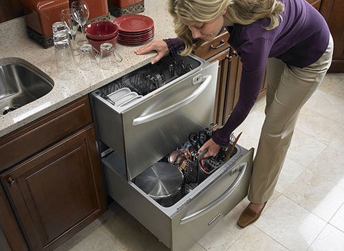 double-dishwasher.jpg