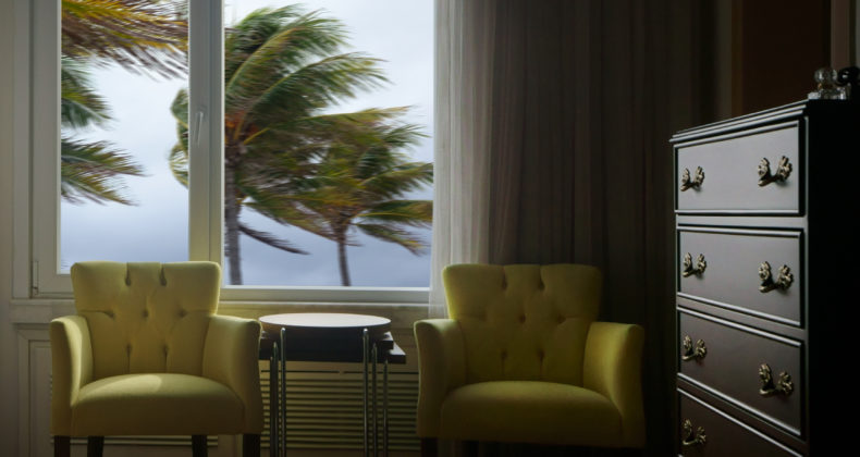 indoor view of window and waving palm trees in windy tropical storm